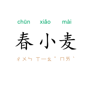 春小麦