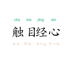 触目经心