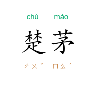 楚茅