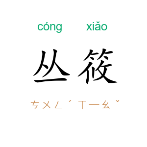 丛筱