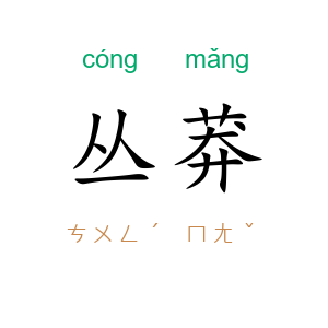 丛莽