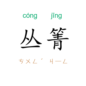 丛箐