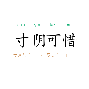 寸阴可惜