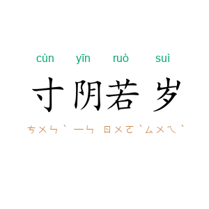寸阴若岁