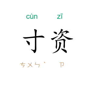 寸资