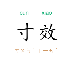 寸效