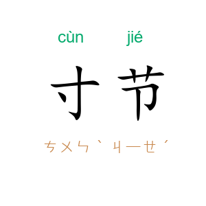 寸节