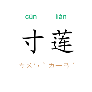 寸莲