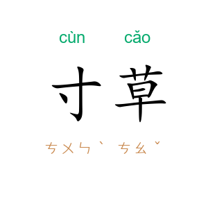 寸草