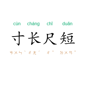 寸长尺短