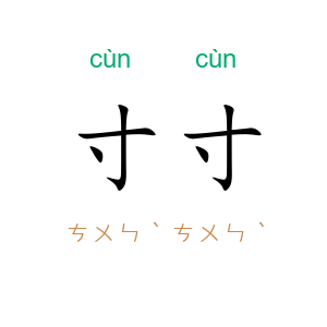 寸寸
