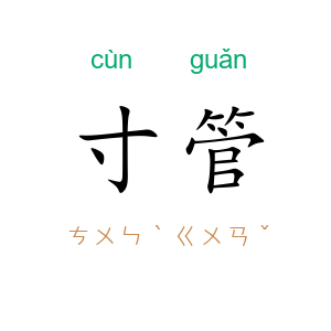 寸管