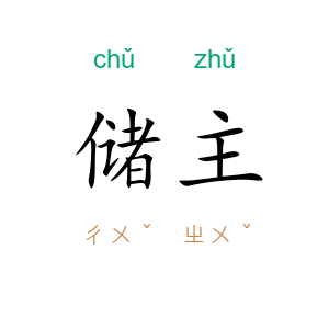 储主