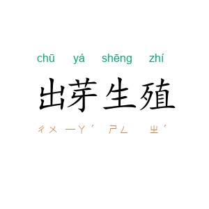出芽生殖