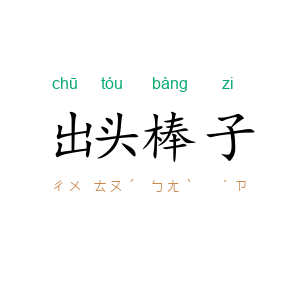 出头棒子