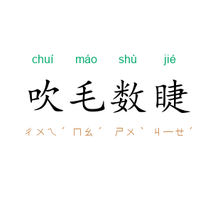 吹毛数睫