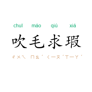吹毛求瑕