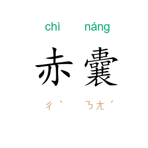 赤囊