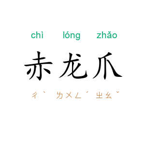 赤龙爪