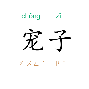 宠子