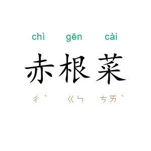 赤根菜