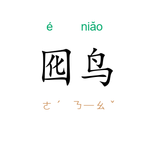 囮鸟