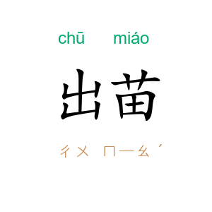 出苗