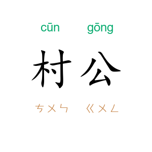 村公