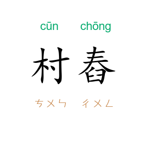 村舂
