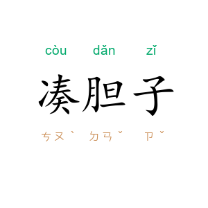凑胆子
