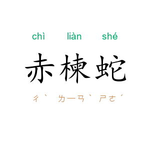 赤楝蛇
