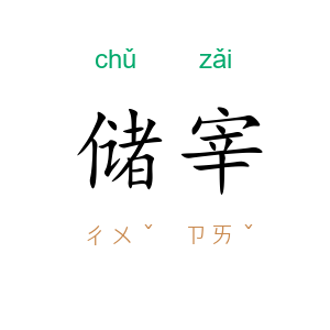 储宰