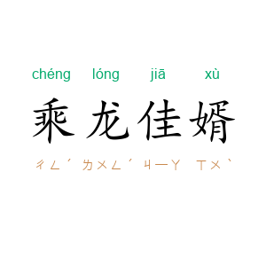 乘龙佳婿