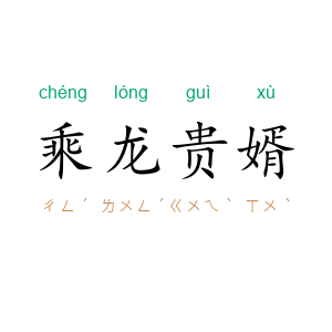 乘龙贵婿
