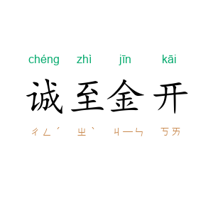 诚至金开
