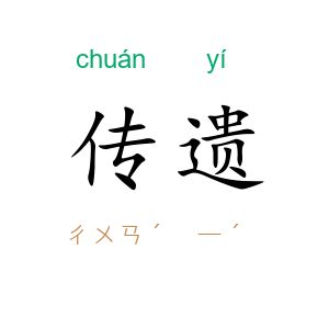 传遗