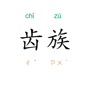 齿族