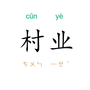 村业