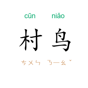 村鸟