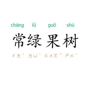 常绿果树