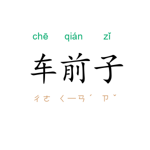 车前子