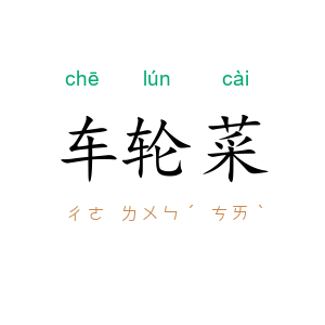 车轮菜