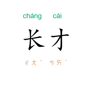 长才