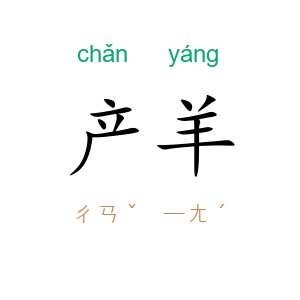 产羊