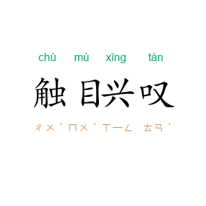 触目兴叹