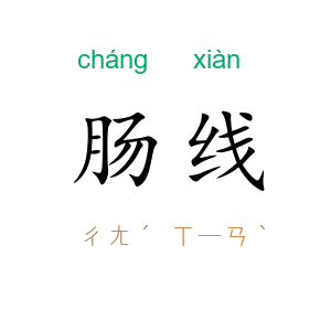 肠线
