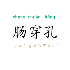 肠穿孔