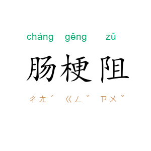 肠梗阻