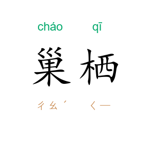 巢栖