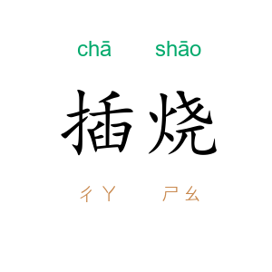 插烧
